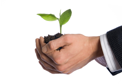 accounting services